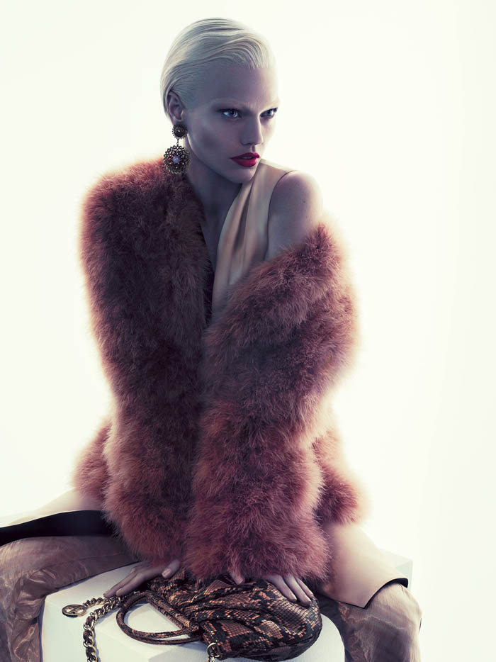 armani