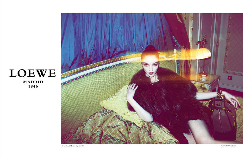 loewecampaign2