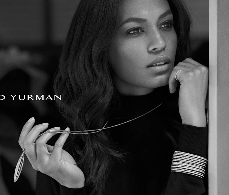 davidyurmancampaign6