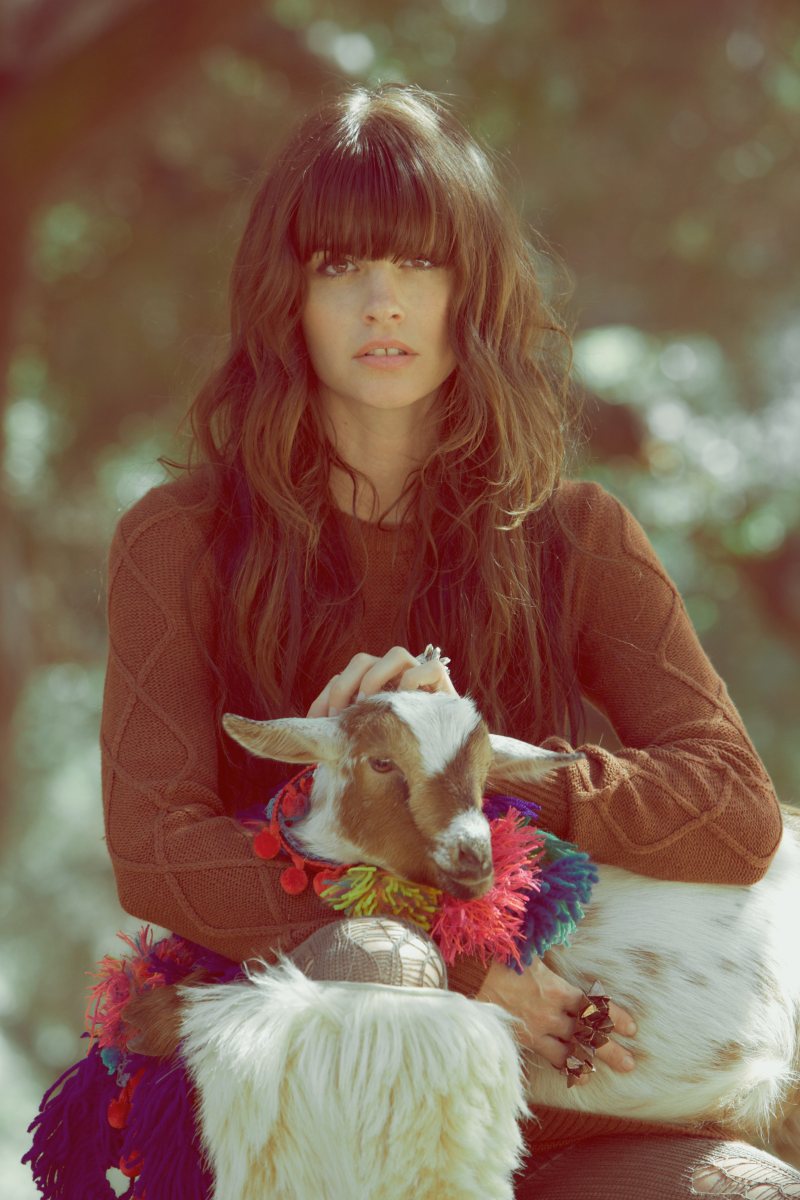 harper6