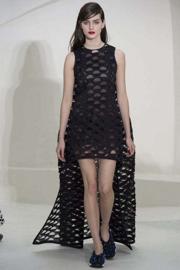 Dior Haute Couture Spring/Summer 2014 – Fashion Gone Rogue