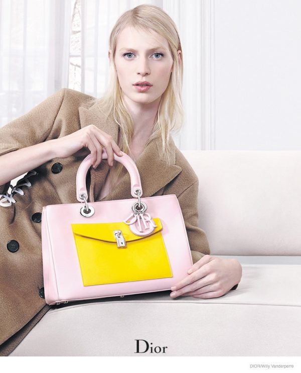 Dior Accessories Fall/Winter 2014 Ad Campaign