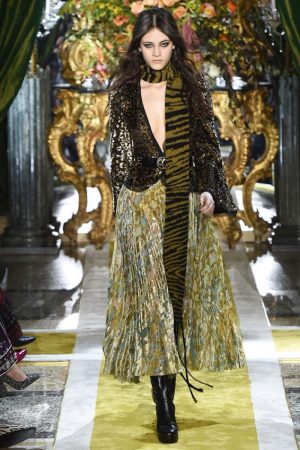 Roberto Cavalli 2016 Fall / Winter