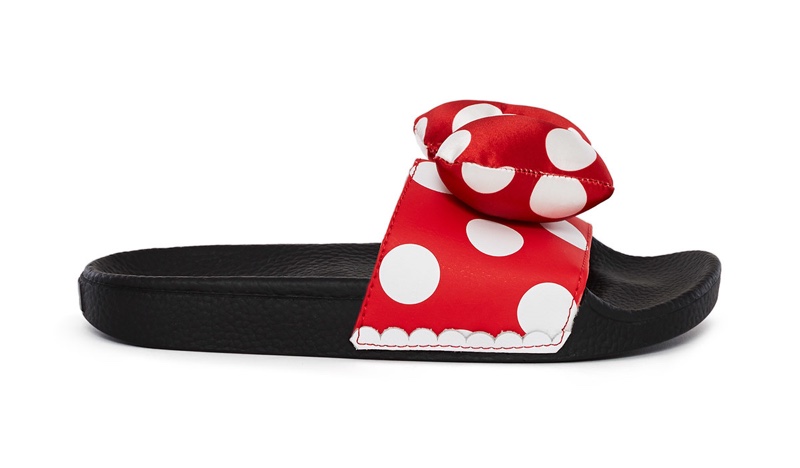 minnie mouse and mickey mouse vans