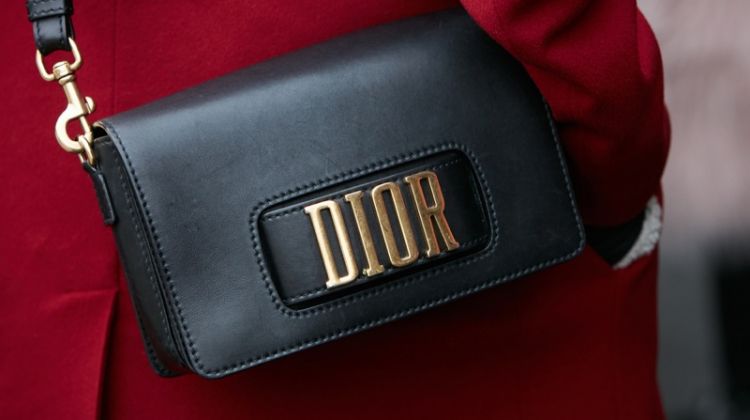 Dior Dior(evolution) Flap Bag