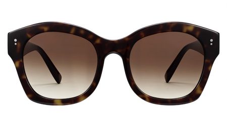 Warby Parker Sunburst Sunglasses Shop