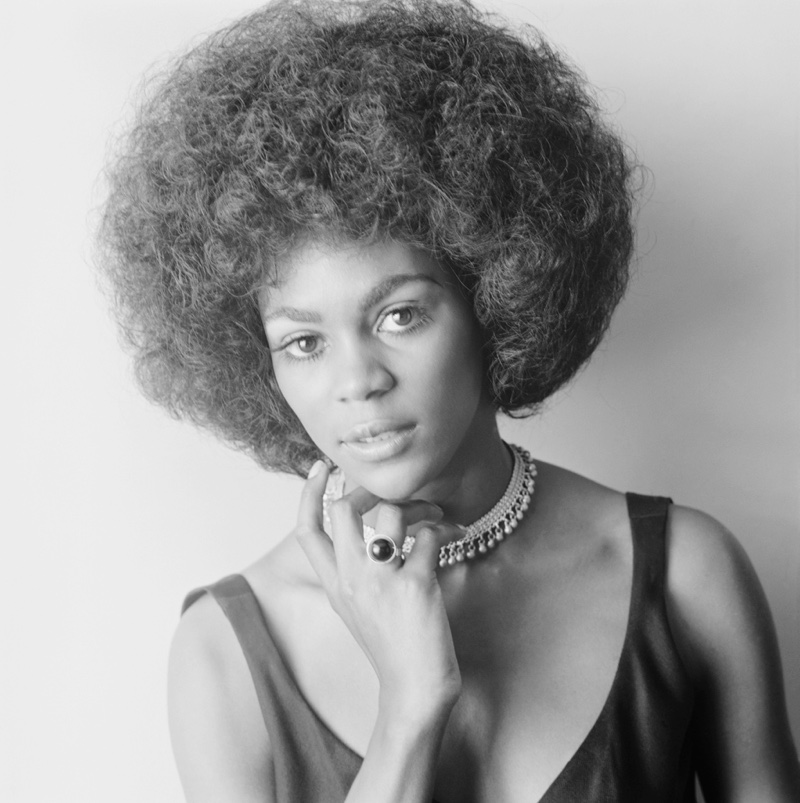 Afro 1970s Hairstyle