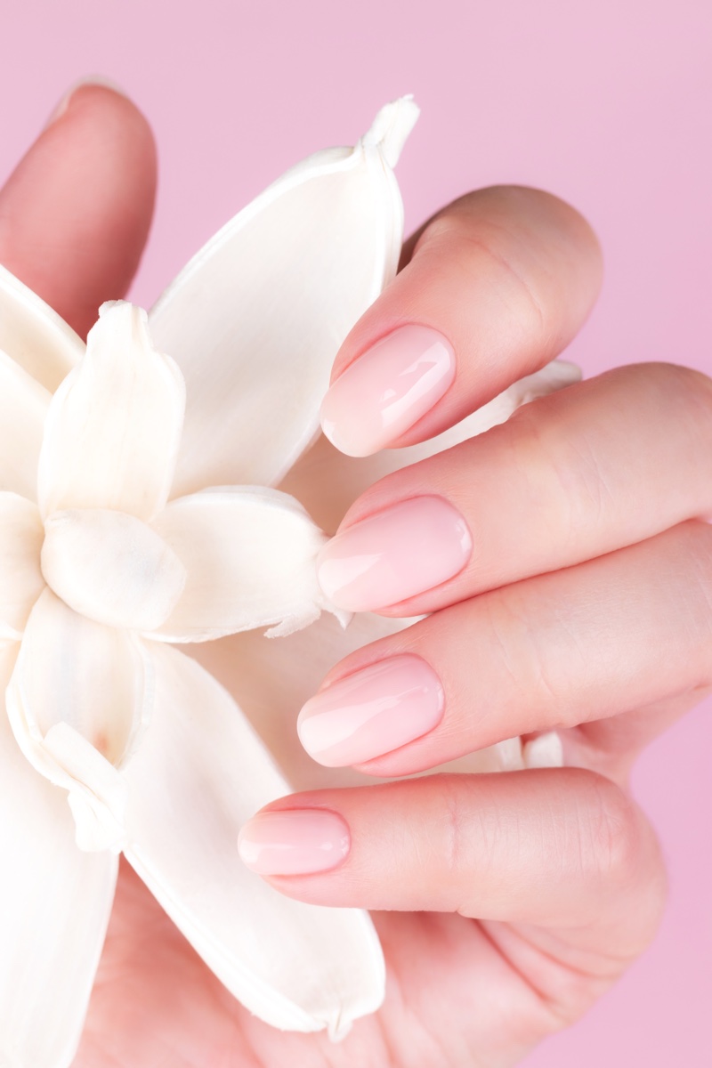 Transparent French Manicure Nails 2024 Trend