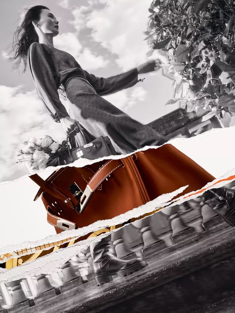 Hermes Fall 2024 Campaign