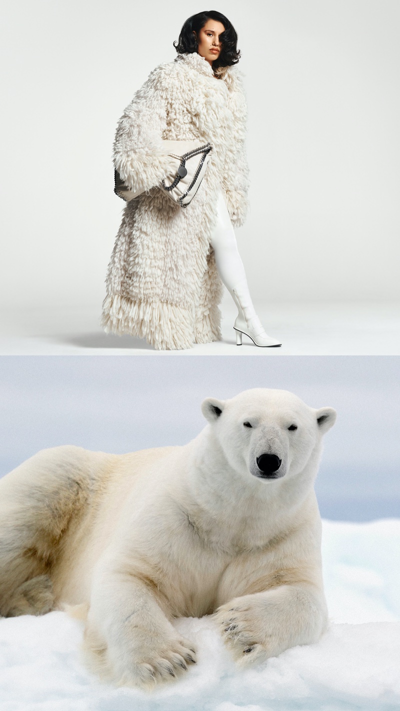 A polar bear is featured in Stella McCartney's winter 2024 campaign.