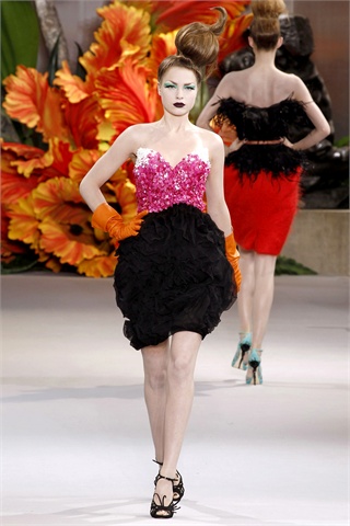 Christian Dior  Paris Haute Couture Fall 2010 – Fashion Gone Rogue