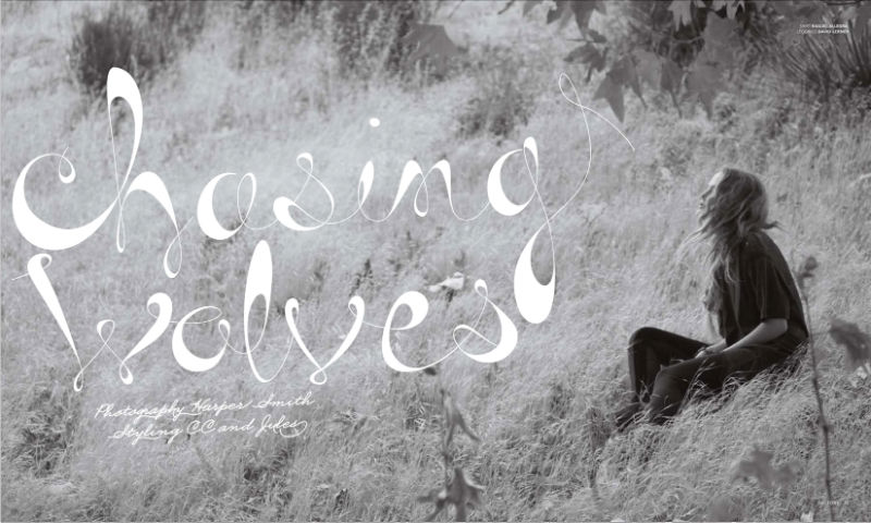 Chasing Wolves by Harper Smith for Factory Winter 2010